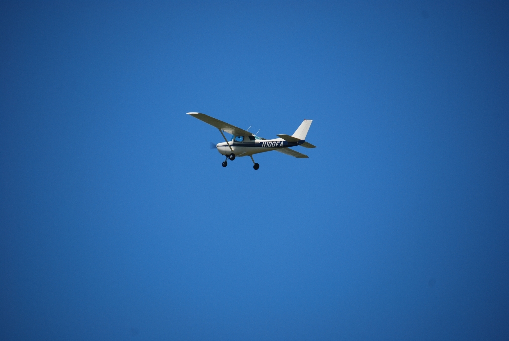 DSC_5385.JPG